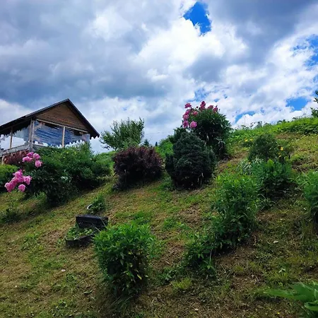 Appartement сільська