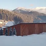 Apartment сільська Yablunytsya
